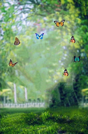 Colorful butterflies fluttering through a lush green garden with soft bokeh background HD phone wallpaper