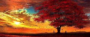 Vivid Red Autumn Tree Silhouette Against Dramatic Sunset Sky HD wallpaper