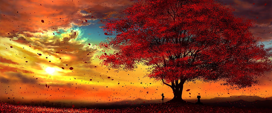Vivid Red Autumn Tree Silhouette Against Dramatic Sunset Sky HD wallpaper