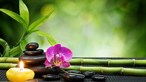 Serene Zen Garden with Stacked Stones, Bamboo, and a Vibrant Pink Orchid HD wallpaper