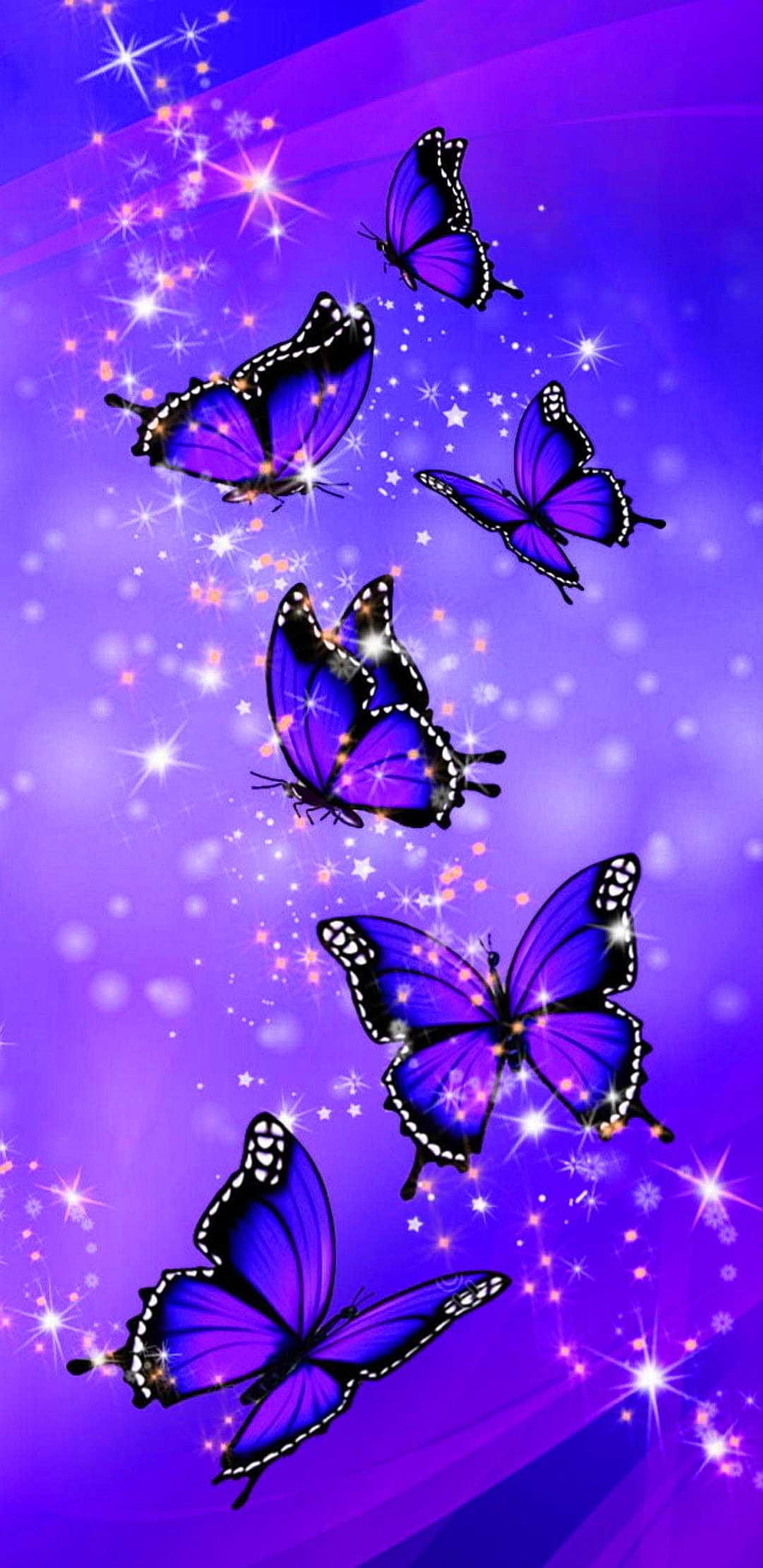 Purple butterflies with sparkling stars on a vibrant violet gradient background HD phone wallpaper