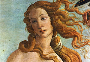 Sandro Botticelli's The Birth of Venus: Renaissance Masterpiece with Flowing Hair and Serene Expression HD wallpaper