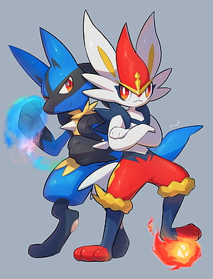 Lucario and Cinderace Fighting Together in Dynamic Anime Style HD phone wallpaper