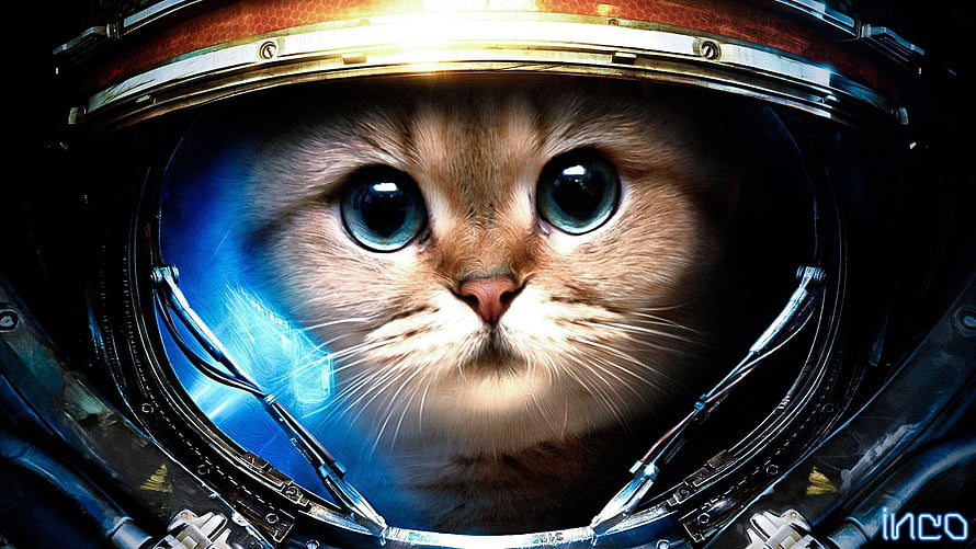 Cute Orange Tabby Cat Wearing a Futuristic Astronaut Helmet in Deep Space HD wallpaper