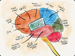 Student Nurse Brain Diagram Illustration with Handwritten Notes and Colorful Sections HD wallpaper