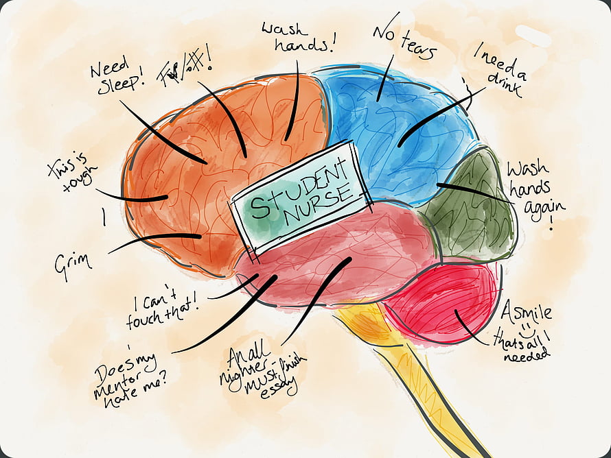 Student Nurse Brain Diagram Illustration with Handwritten Notes and Colorful Sections HD wallpaper