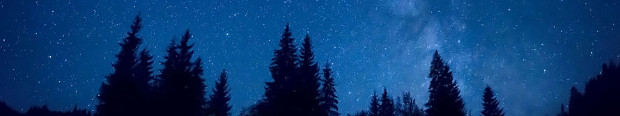 Milky Way Galaxy Arching Over Silhouetted Evergreen Forest at Night HD wallpaper
