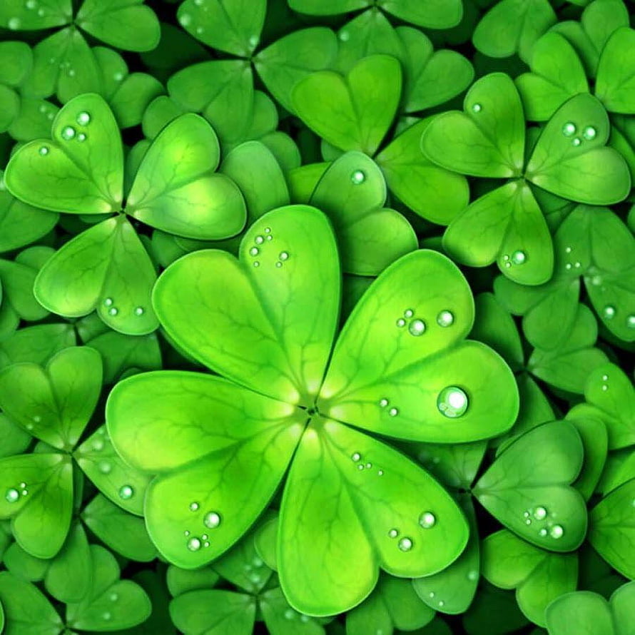 Vibrant Four Leaf Clover with Dew Drops on a Lush Green Background HD phone wallpaper