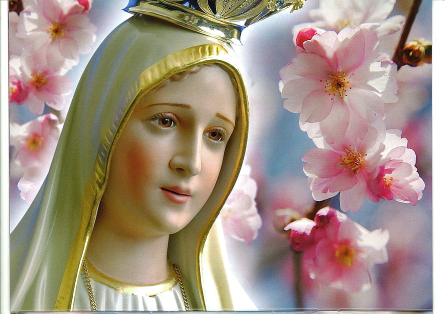 Mary Mother of God Statue with Crown and Cherry Blossoms HD wallpaper