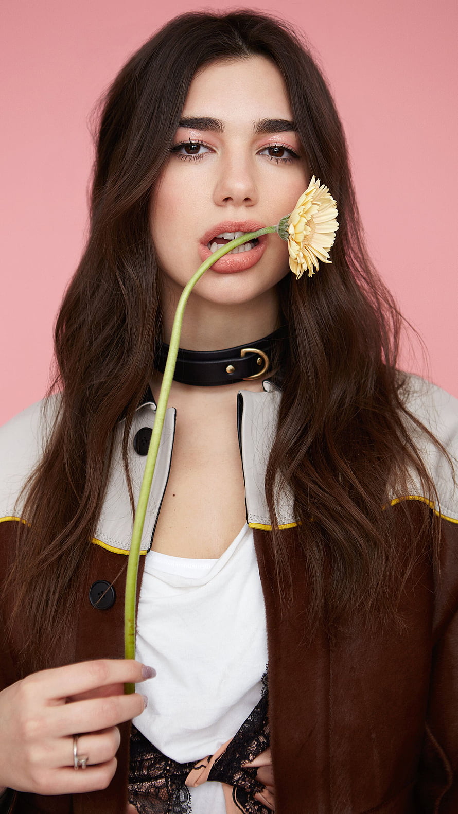 Dua Lipa Portrait Holding Yellow Gerbera Daisy Against Pink Studio Background HD phone wallpaper