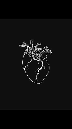Minimalist White Line Art Human Heart on Black Background, Instagram Highlight Aesthetic Black Heart, black instagram HD phone wallpaper