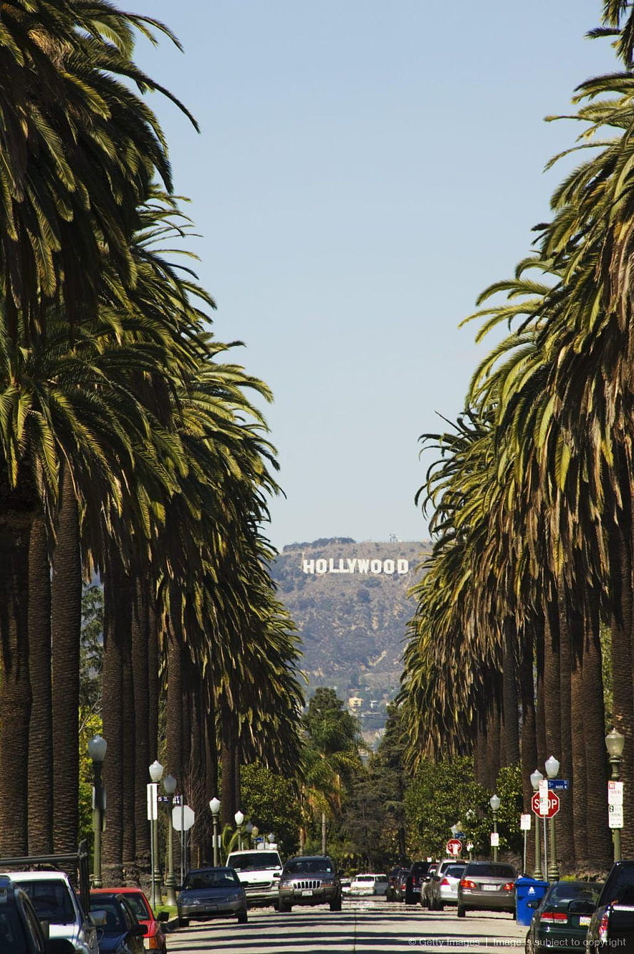 Hollywood Sign framed by palm trees along a Los Angeles street with the Hollywood Hills in the background HD phone wallpaper