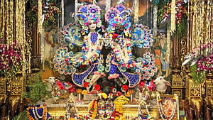 Banke Bihari Temple Deities Adorned in Vibrant Floral Garlands and Ornate Peacock Attire HD wallpaper