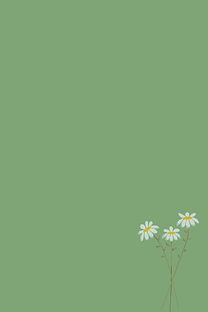 Minimalist Sage Green Background with White Daisies in Bottom Corner HD phone wallpaper