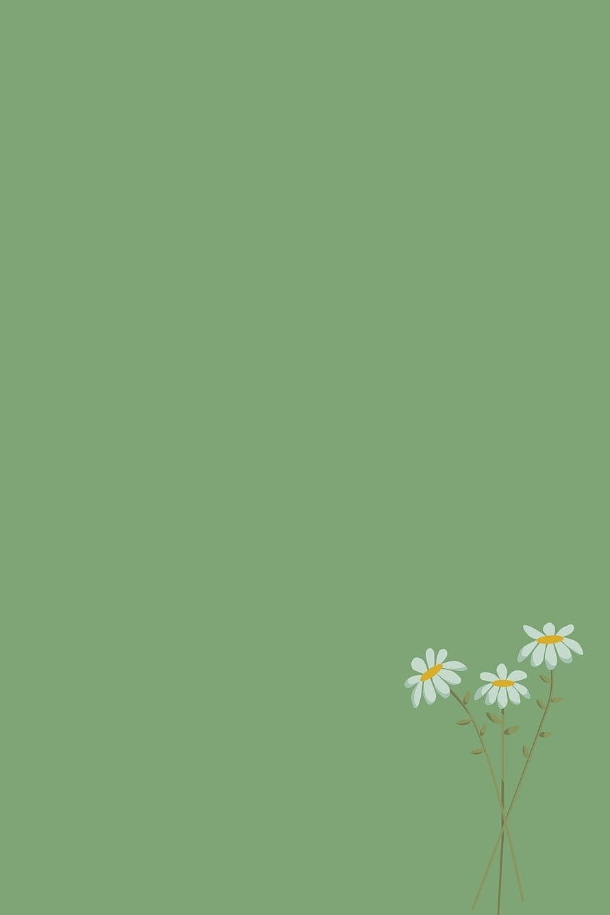 Minimalist Sage Green Background with White Daisies in Bottom Corner HD phone wallpaper