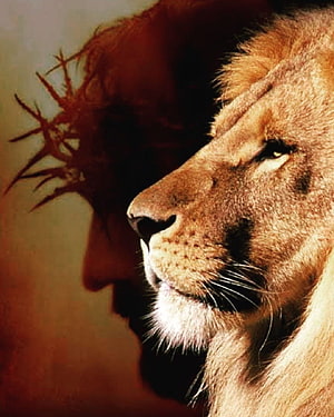 Lion Profile with Crown of Thorns Silhouette and Warm Golden Tones HD phone wallpaper