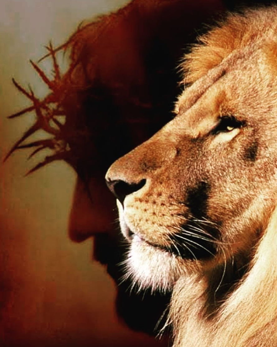 Lion Profile with Crown of Thorns Silhouette and Warm Golden Tones HD phone wallpaper