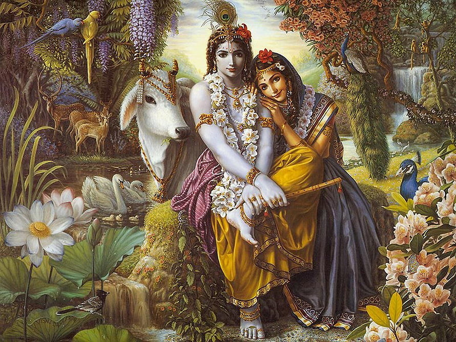 Radha and Krishna in a Lush Forest with White Cow and Lotus Flowers HD wallpaper