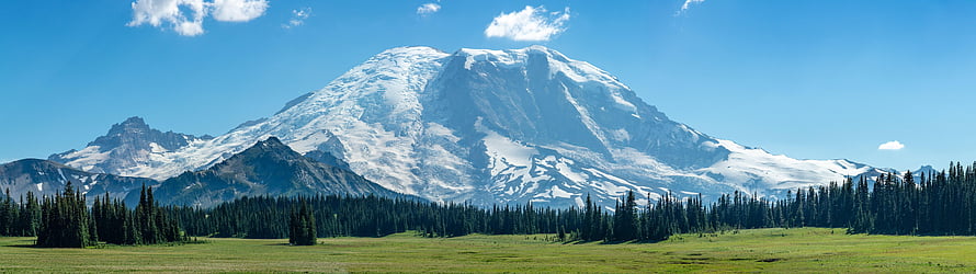 Mount Rainier Rising Over Grand Park Meadows and Evergreen Forest HD wallpaper