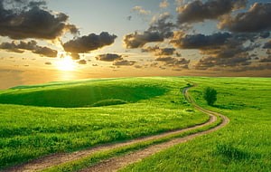 Winding dirt path through lush green rolling hills at golden sunrise with dramatic clouds HD wallpaper