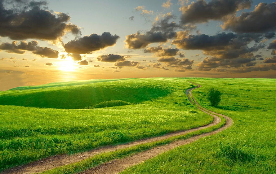 Winding dirt path through lush green rolling hills at golden sunrise with dramatic clouds HD wallpaper