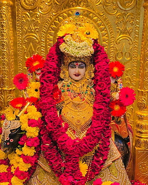 Meldi Maa Malataj Deity Adorned in Gold Jewelry and Vibrant Flower Garlands HD phone wallpaper