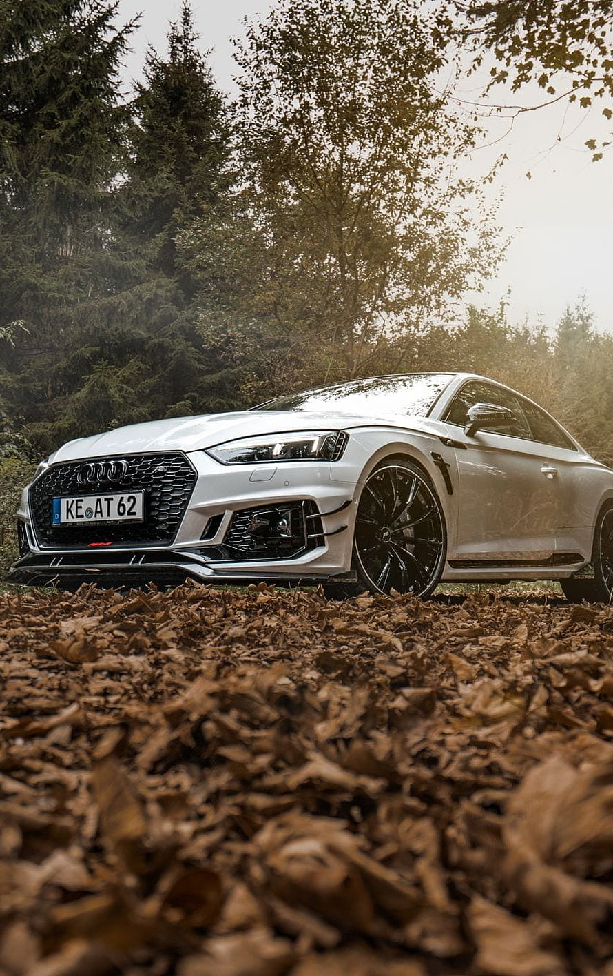 White Audi RS5 Coupe Parked on Autumn Leaves in a Misty Forest HD phone wallpaper