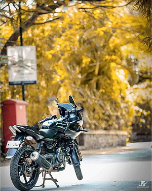 Black Honda CB Motorcycle Parked on a Tree-Lined Street with Golden Foliage HD phone wallpaper