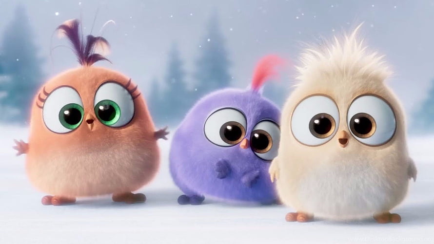 Three Fluffy Hatchlings From The Angry Birds Movie Standing In Snowy Forest HD wallpaper