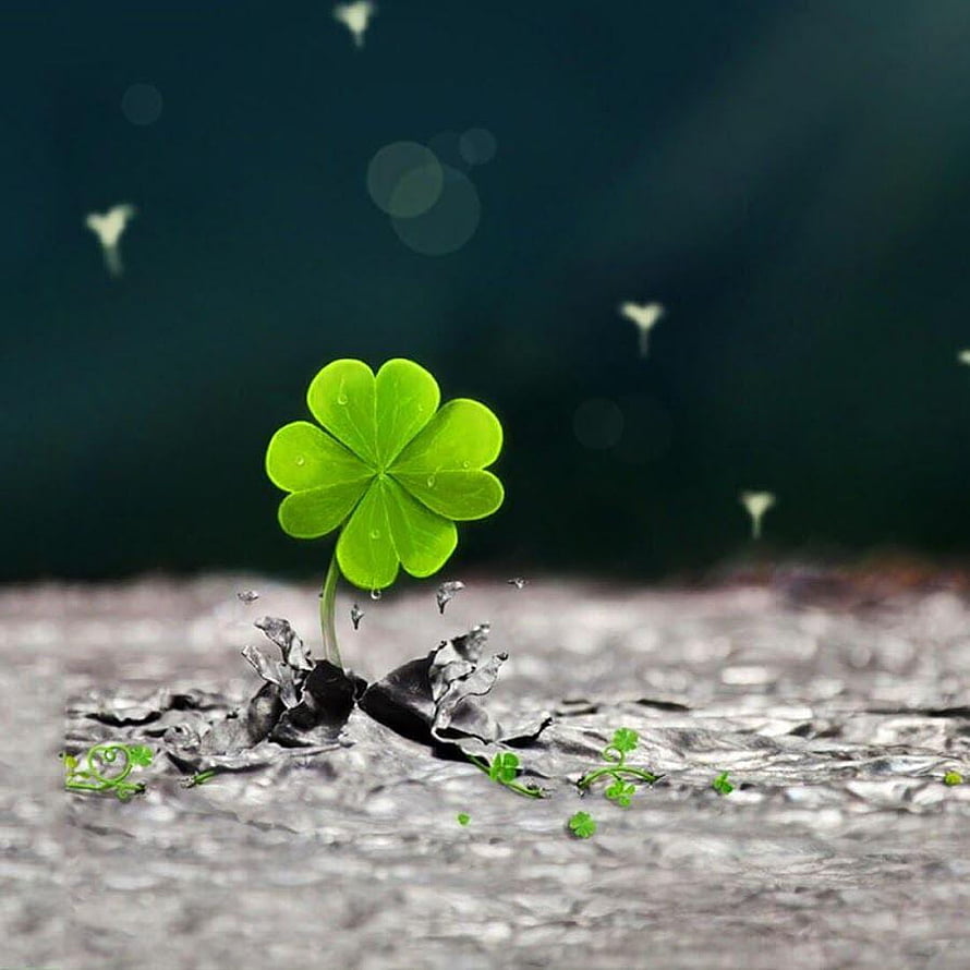 Vibrant Four Leaf Clover Emerging From Cracked Earth Against Dark Background HD phone wallpaper