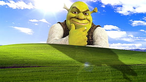Shrek Thinking on a Green Hill Under a Bright Blue Sky HD wallpaper