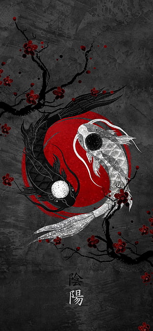 Japanese Yin Yang Koi Fish Art with Red Cherry Blossoms and Dark Ink Background HD phone wallpaper