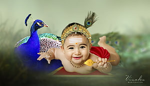 Baby Murugan with Peacock and Vel in Traditional Indian Attire HD wallpaper