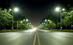 Empty City Boulevard at Night with Glowing Streetlights and Lush Green Trees HD wallpaper