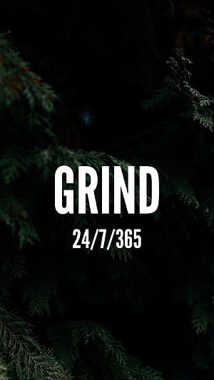 Dark Evergreen Branches With Motivational Grind Text Overlay HD phone wallpaper