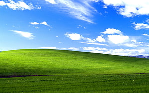 Vibrant Green Rolling Hills Under a Bright Blue Sky with Scattered Clouds HD wallpaper