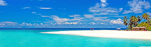 Tropical Beach Panorama With Turquoise Water, White Sand, and Palm Trees Under a Blue Sky HD wallpaper
