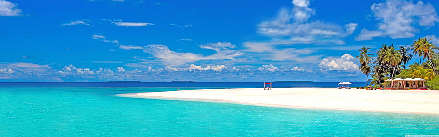 Tropical Beach Panorama With Turquoise Water, White Sand, and Palm Trees Under a Blue Sky HD wallpaper