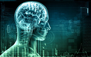 Digital Human Brain Anatomy with Neural Network and Cybernetic Data Interface HD wallpaper