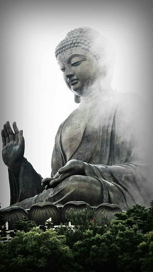 Meditating Buddha Statue in Misty Fog with Serene Expression and Lotus Base HD phone wallpaper