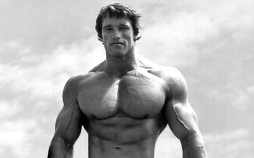 Arnold Schwarzenegger Classic Black and White Bodybuilding Portrait HD wallpaper