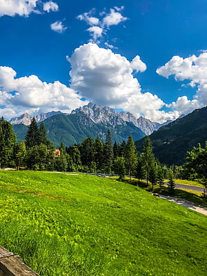 Lush Alpine Meadow with Conifer Forest and Rocky Mountain Peaks Under a Bright Blue Sky HD phone wallpaper