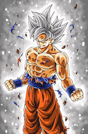 Son Goku Ultra Instinct Mastered Silver Hair Anime Character Artwork HD phone wallpaper