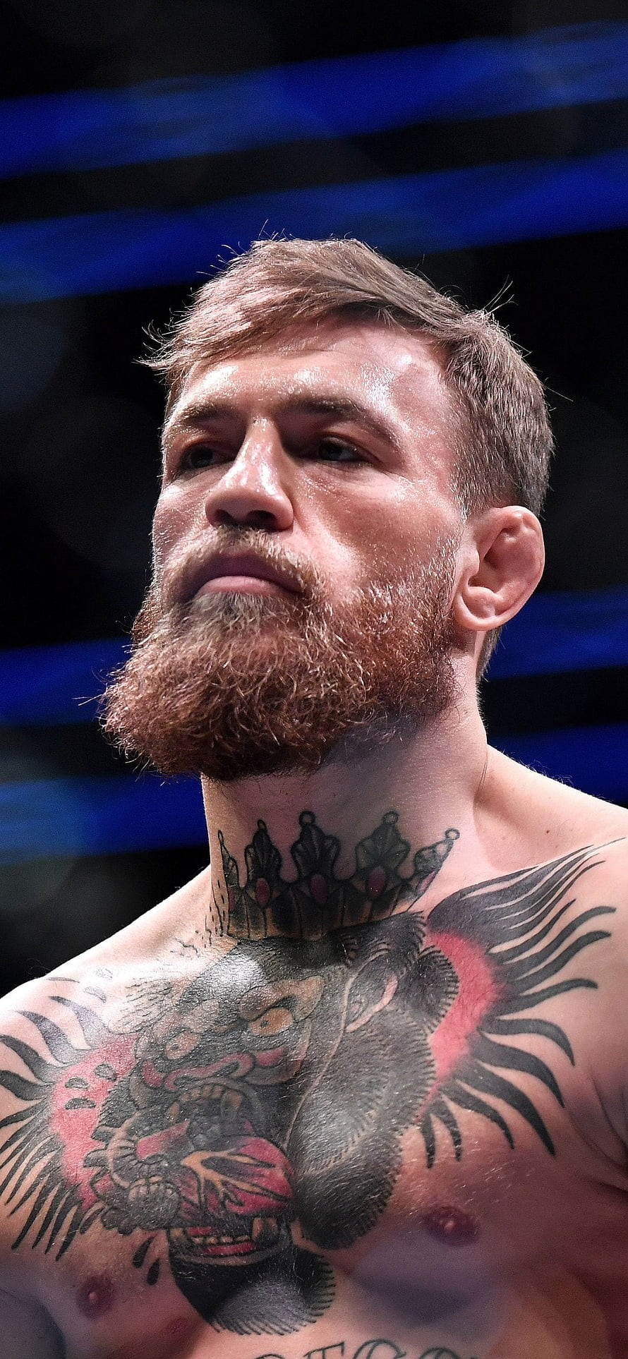 Conor McGregor Portrait With Chest Tattoo And Beard In The Octagon HD phone wallpaper