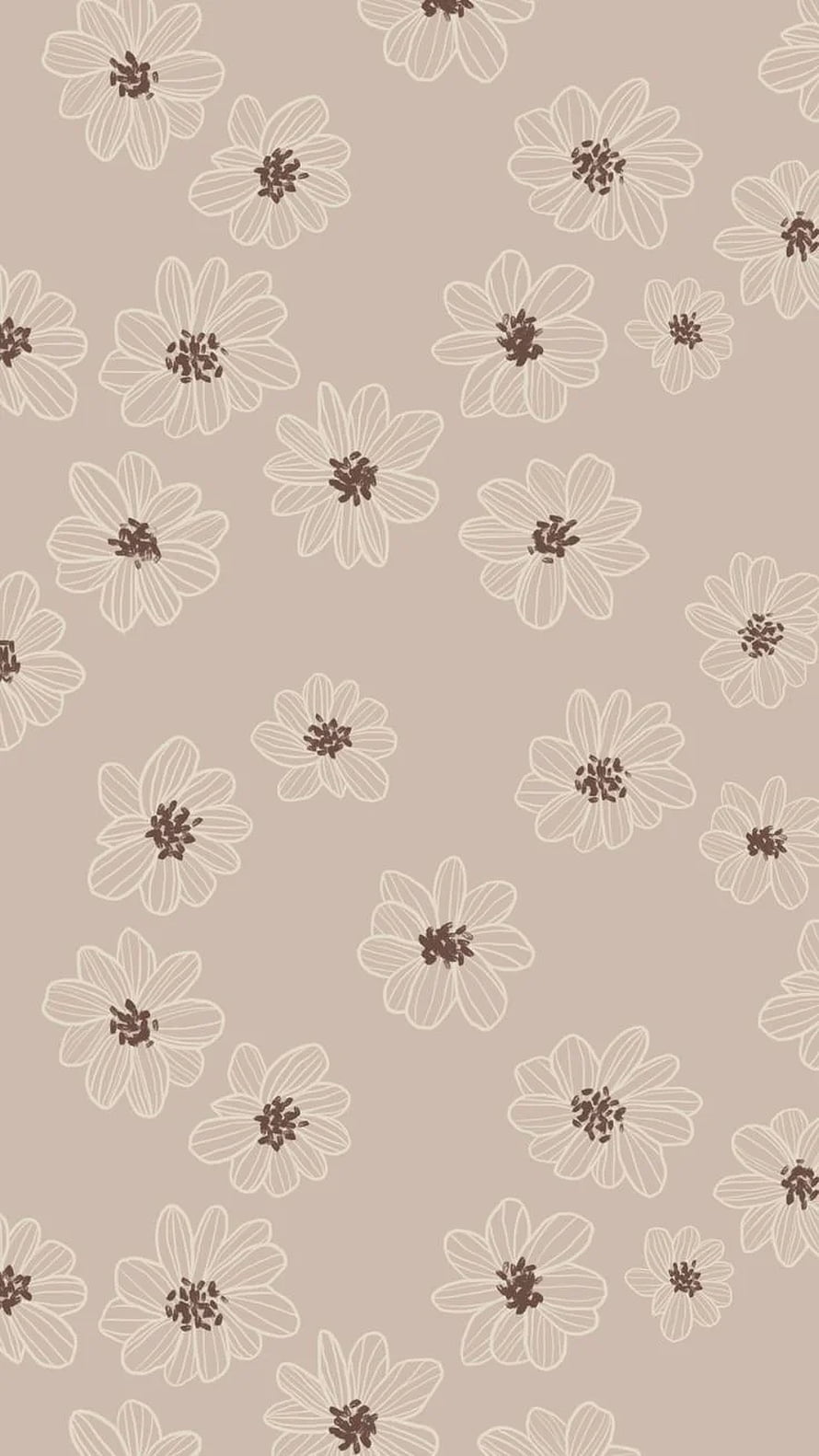 Minimalist Brown Floral Pattern with White Outlined Daisies on Beige Background HD phone wallpaper