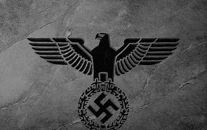 Nazi Eagle and Swastika Emblem on Cracked Concrete Wall HD wallpaper