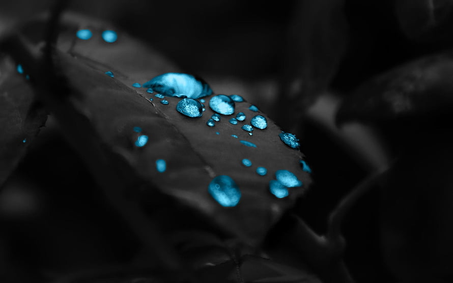 Macro Photography of Blue Water Droplets on a Dark Leaf with Selective Color Effect HD wallpaper