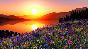 Vibrant Wildflower Meadow at Sunset with Mountain Lake Reflection and Pine Forest HD wallpaper
