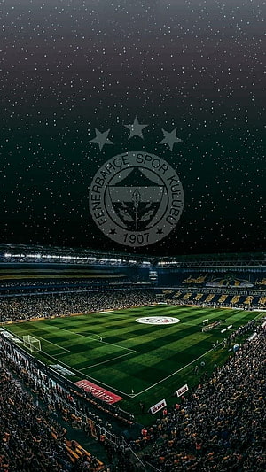 Fenerbahce Spor Kulubu Stadium Night Scene With Team Crest And Starry Sky HD phone wallpaper