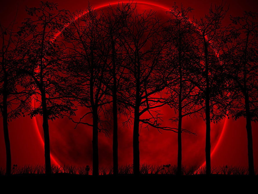Eerie Silhouetted Trees Against a Glowing Blood Red Moon in a Dark Night Sky HD wallpaper